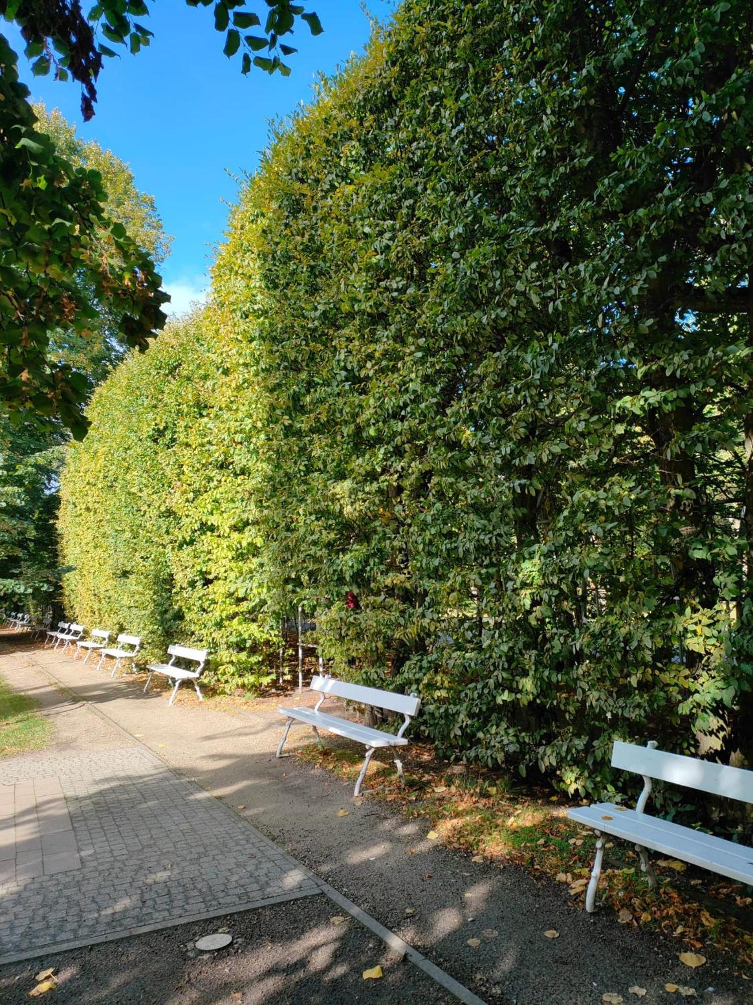 Apartament Prywatny W Hotelu Diwa Spa,W Kolobrzegu Z Parkingiem Bezplatnym W Centrum Miasta エクステリア 写真